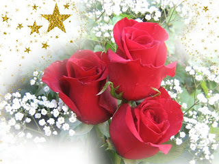 Rosas rojas - Imágenes - rosas rojas con estrellas