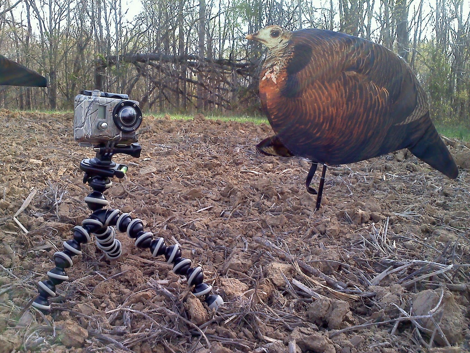 Turkey Hunting Campbell Cameras inFOCUS Blog Campbell Cameras IN FOCUS blog