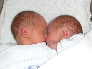 Newborn twin boys