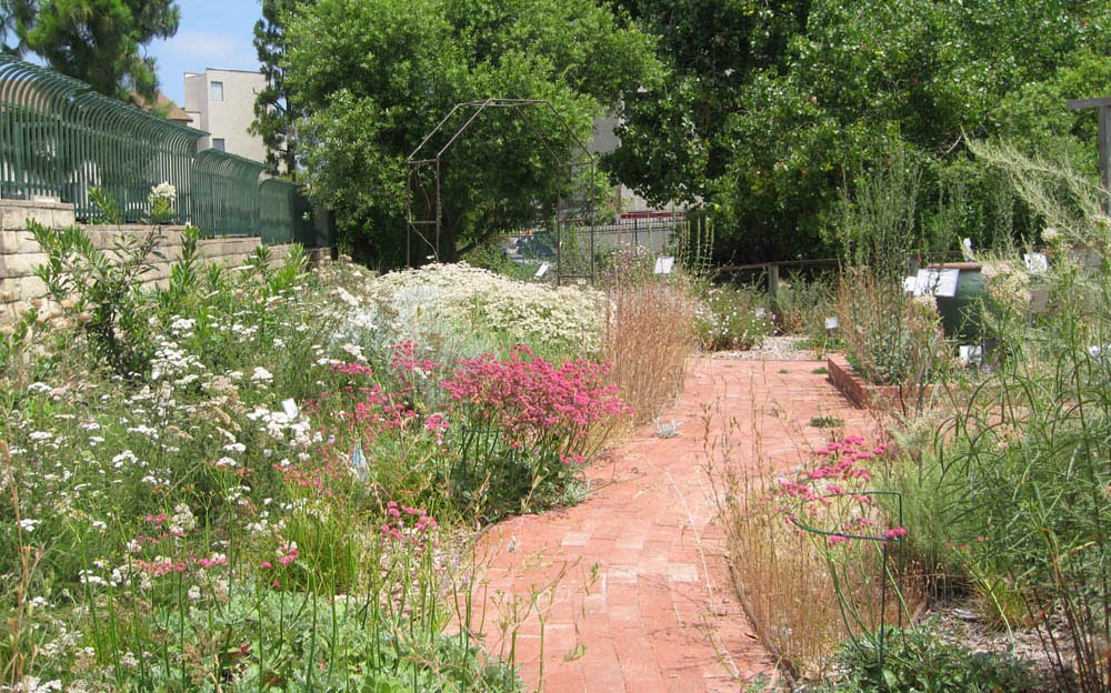 Design Your Garden awesome design your own garden design your own garden gardennajwacom patios bb a garden pond Designing Your New California Garden 12 Choosing The Plants Design Your Garden garden landscaping design with cube grass design ideas and small statue ideas medium size Designing Your New California Garden 12 Choosing The Plants
