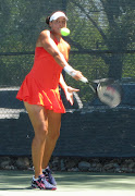 Alexandra Stevenson, a Wimbledon semi finalist in 1999 and the daughter of .