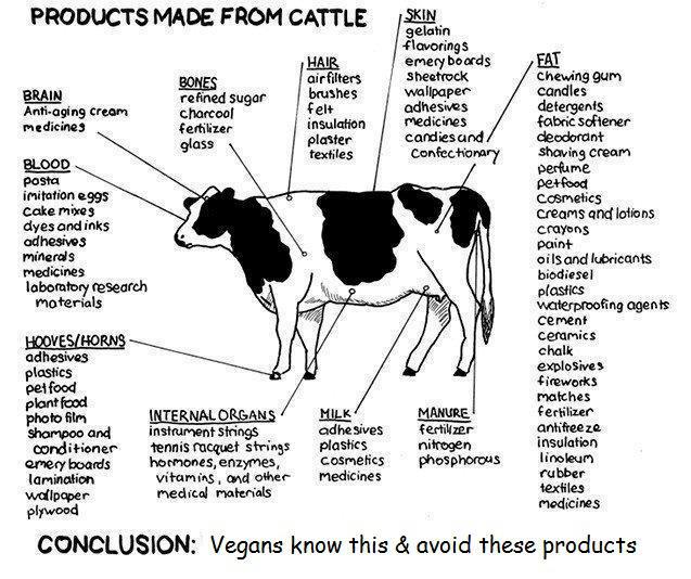BEing Vegan Hidden animal derived ingredients