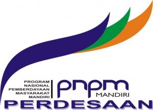 LoGoKu: logo PNPM