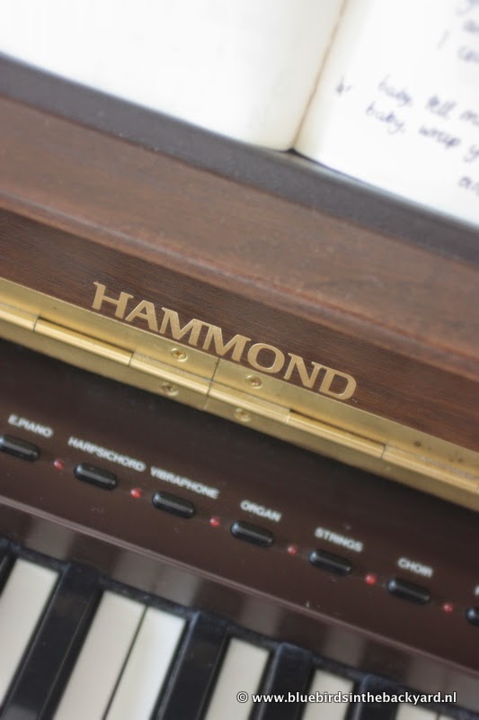 Bluebirds in the backyard My Hammond Piano