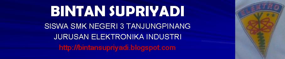 Bintan Supriyadi go Blog!
