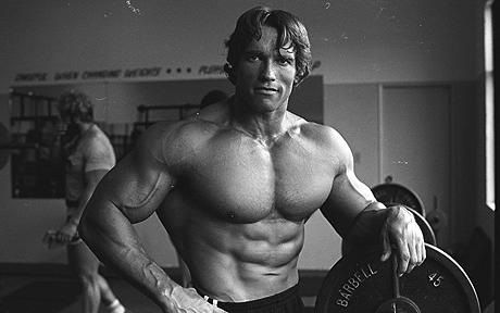 Arnold Schwarzenegger Mr Olympia 7 Times
