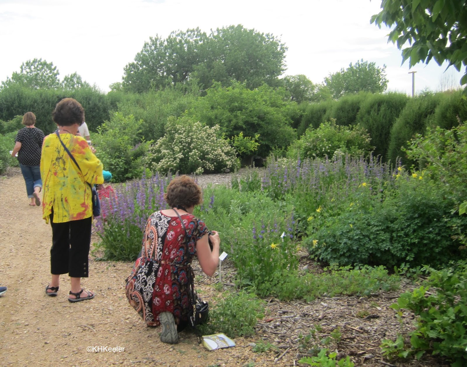 A Wandering Botanist Garden Bloggers Fling 2019 Loveland And