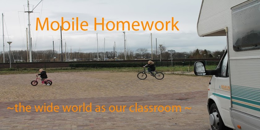 Mobile Homework