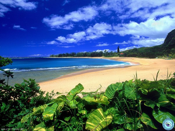 Images in HD of Beautiful Beach Scenery