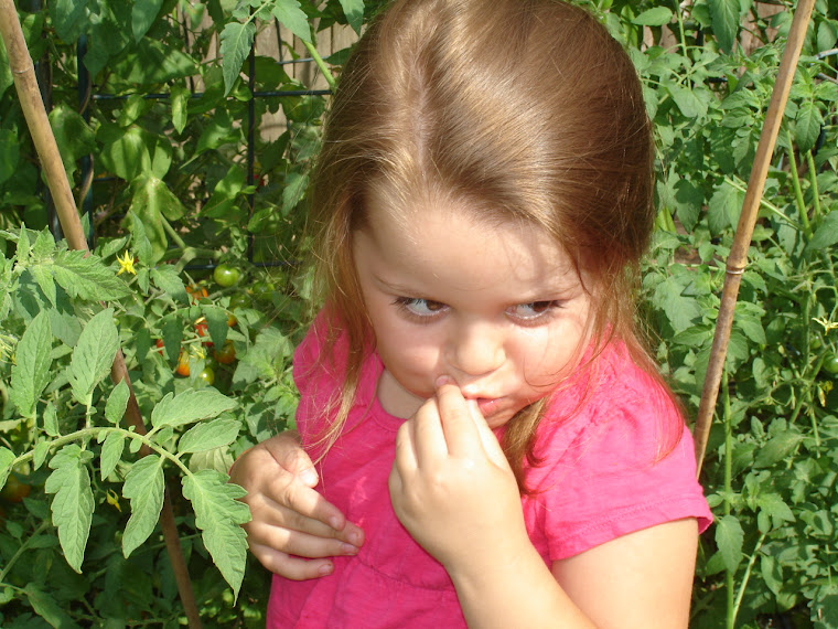 pickin tomatoes