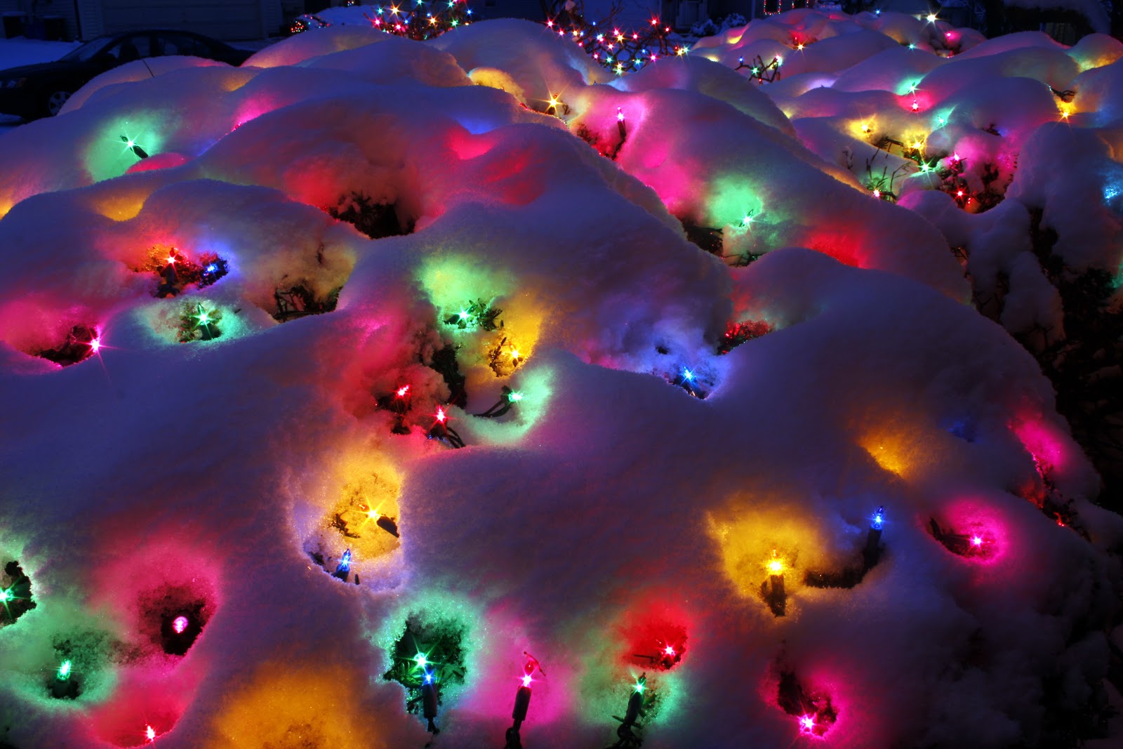 Google Image Result for http://4.bp.blogspot.com/-95th5bjNFZw/TcCo3JEyD3I/AA… | Christmas lights