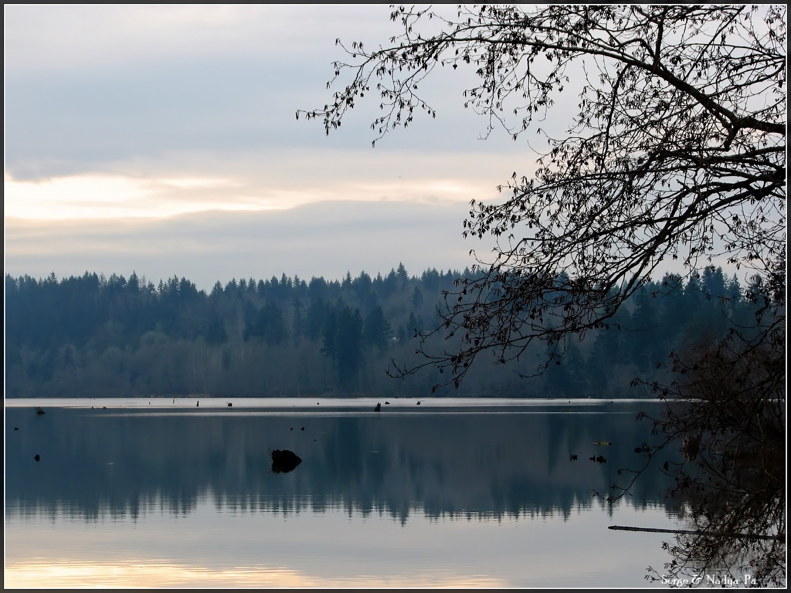 Loving Washington State Lake Kapowsin