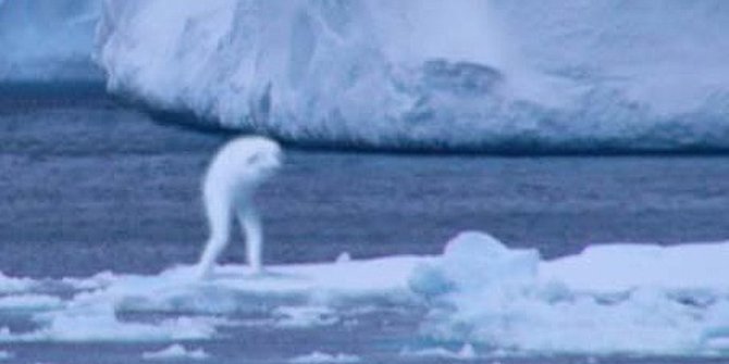 Foto alien yang tertangkap kamera 9 Foto alien yang tertangkap kamera 97