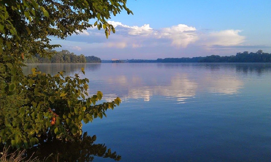 Michigan Carp Fishing Blog July 4th Carp Fishing Belleville Lake