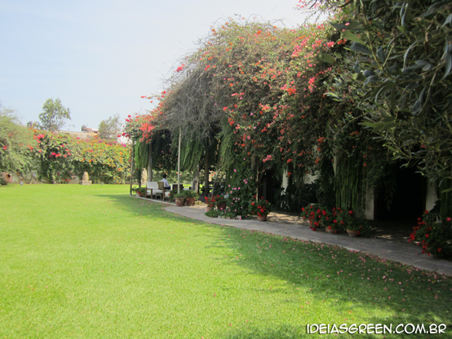 Museu Larco tem um dos jardins mais bonitos do mundo - Perú #3