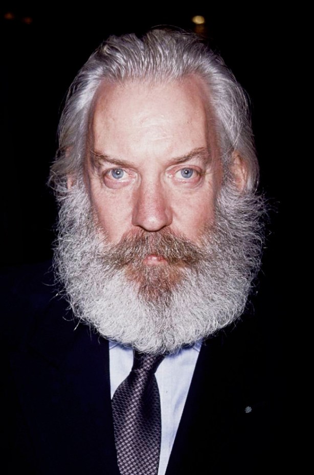 The Plural Of Hyena Epic Beards