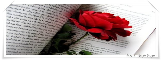Livro Livro com uma rosa