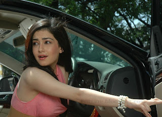 Indian Actress Latest Photos and Wallpapers: Shambhavi Sharma Hot Stills