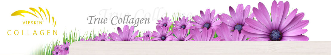 collagenhn.com - Vieskin collagen - Collagenb tươi - viên uống collagen
