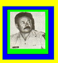CEL PEREIRA
