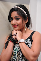 Madhavilatha, @, An, Audio, Launch