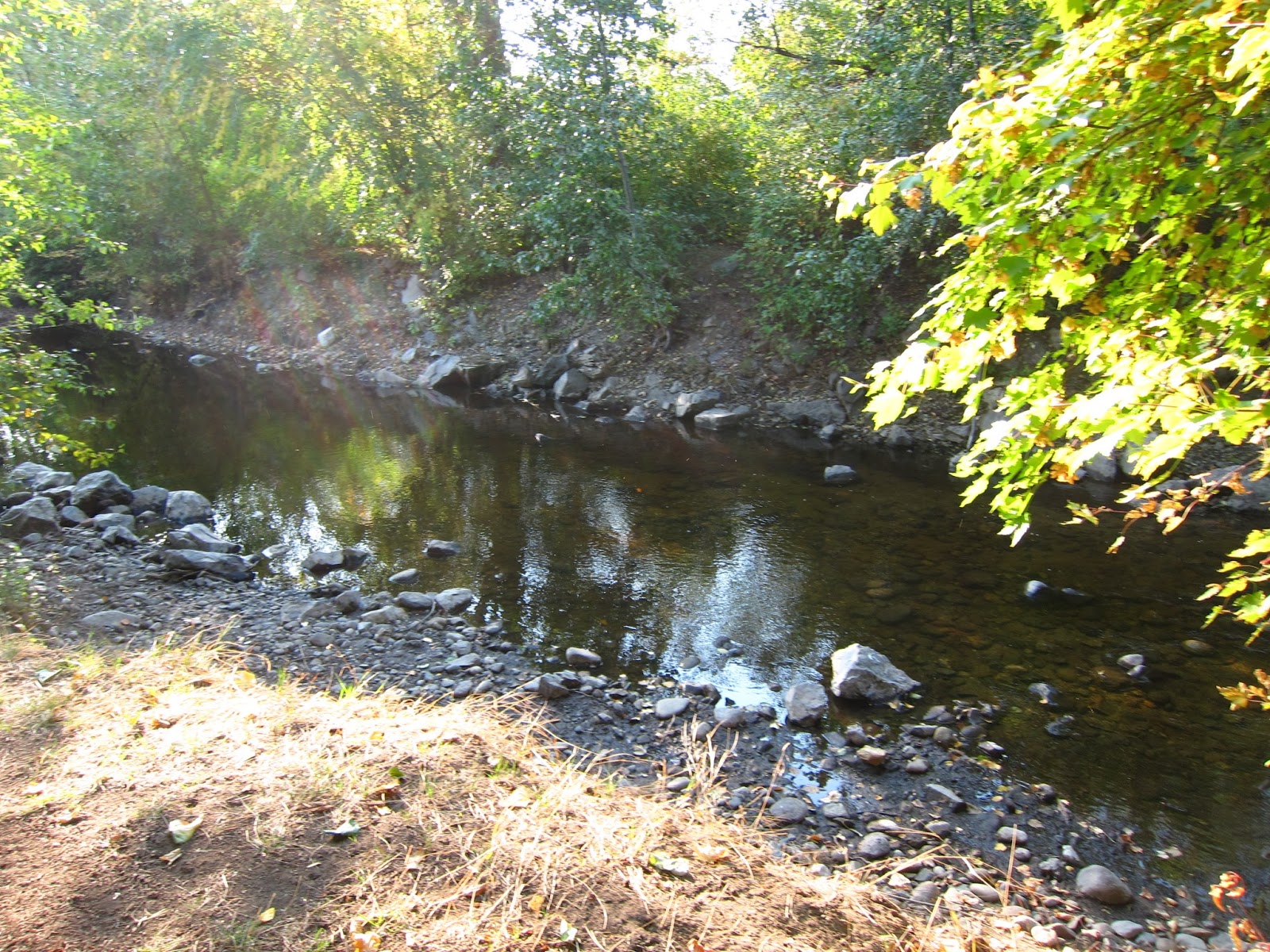 Camper Umo's Campground Reviews Review Bear Creek Provincial Park