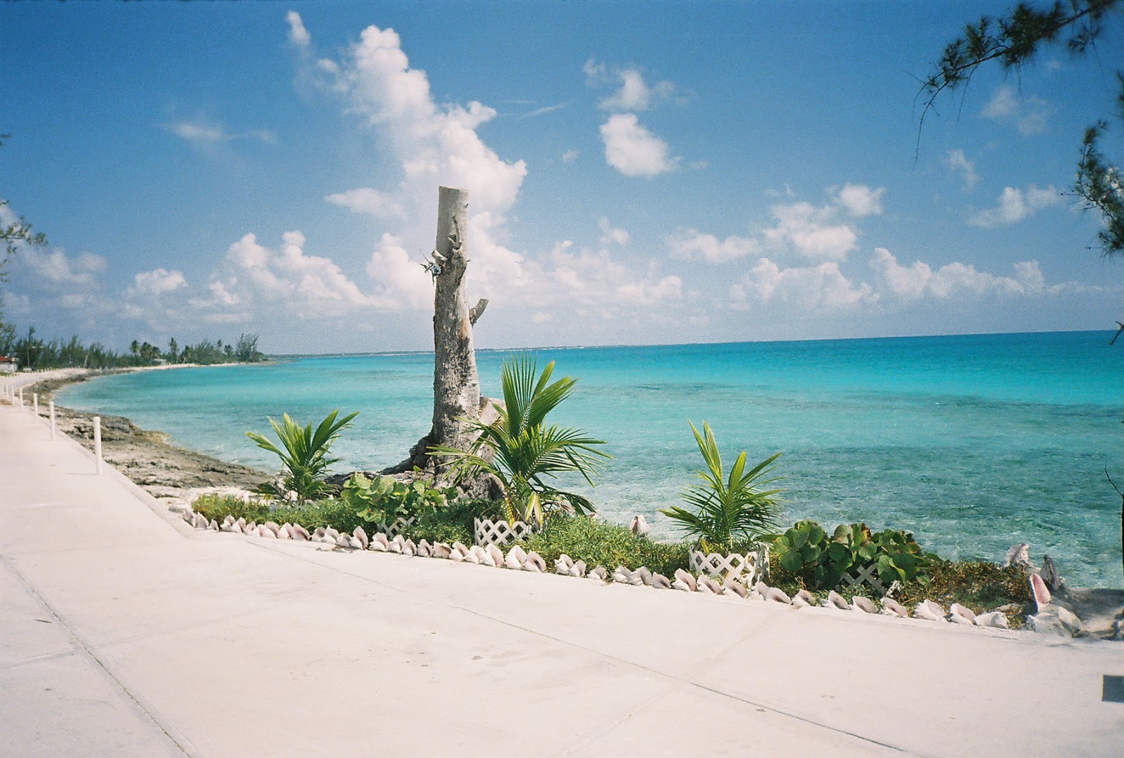 Restaurants On Long Island Bahamas Restaurants On Long Island Bahamas