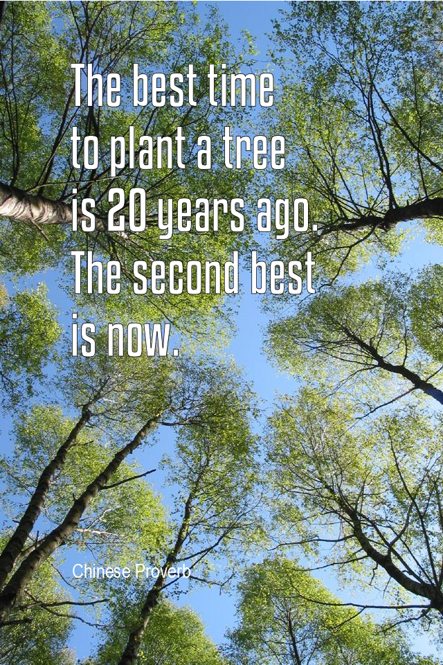 visual quote - image quotation for PROCRASTINATION - The best time to plant a tree is 20 years ago. The second best is now. - Chinese proverb