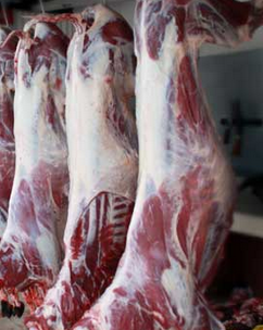 Daging Kambing Daging Kambing