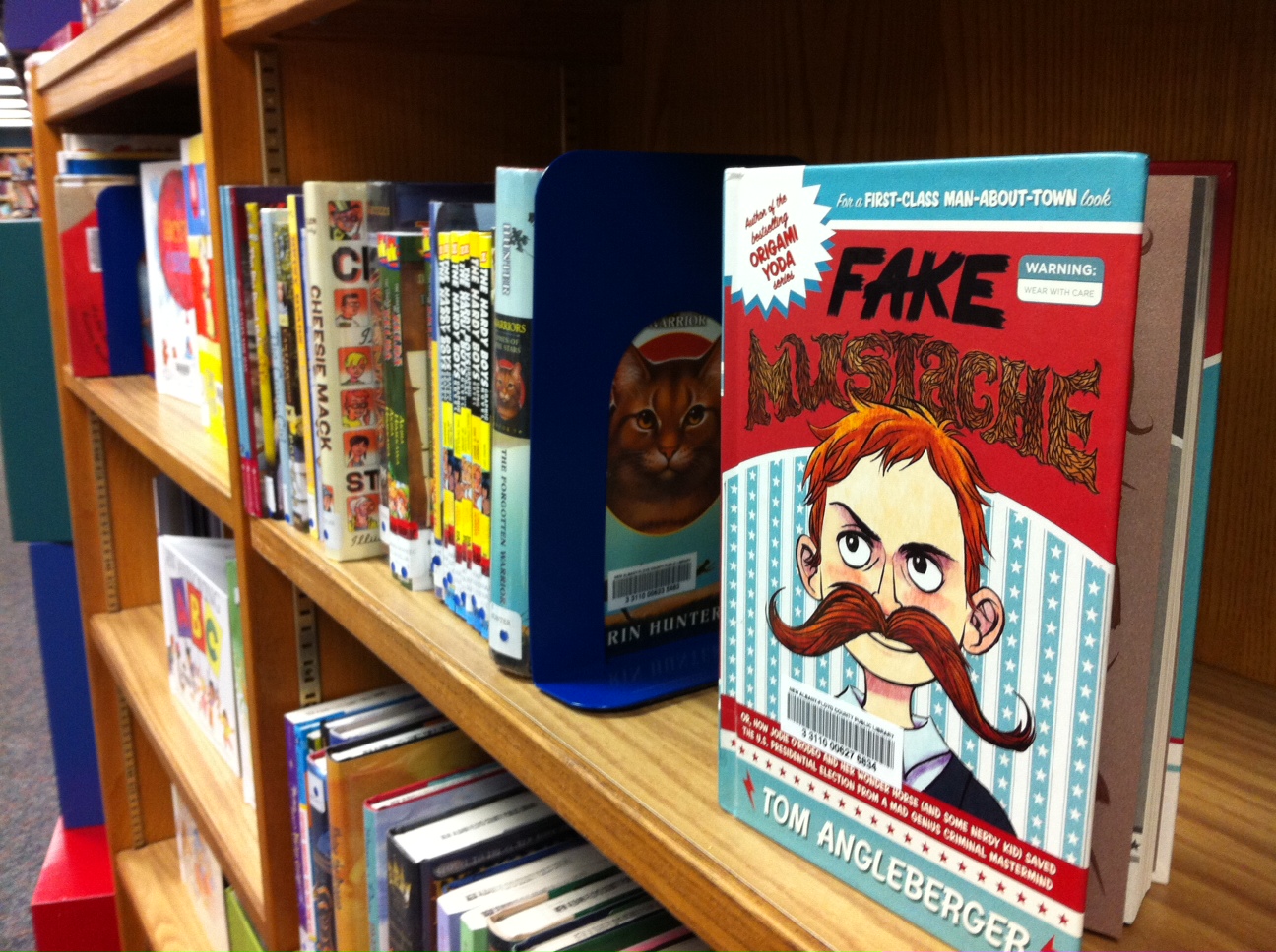 Abby the Librarian Flying Off the Shelves