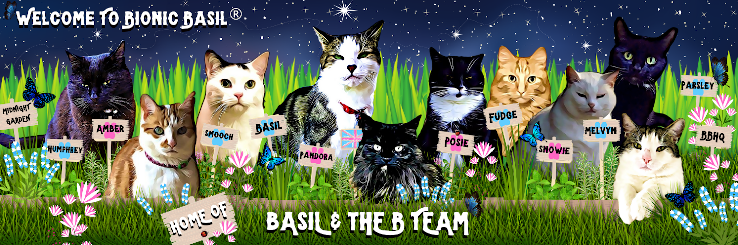 Basil's Blog