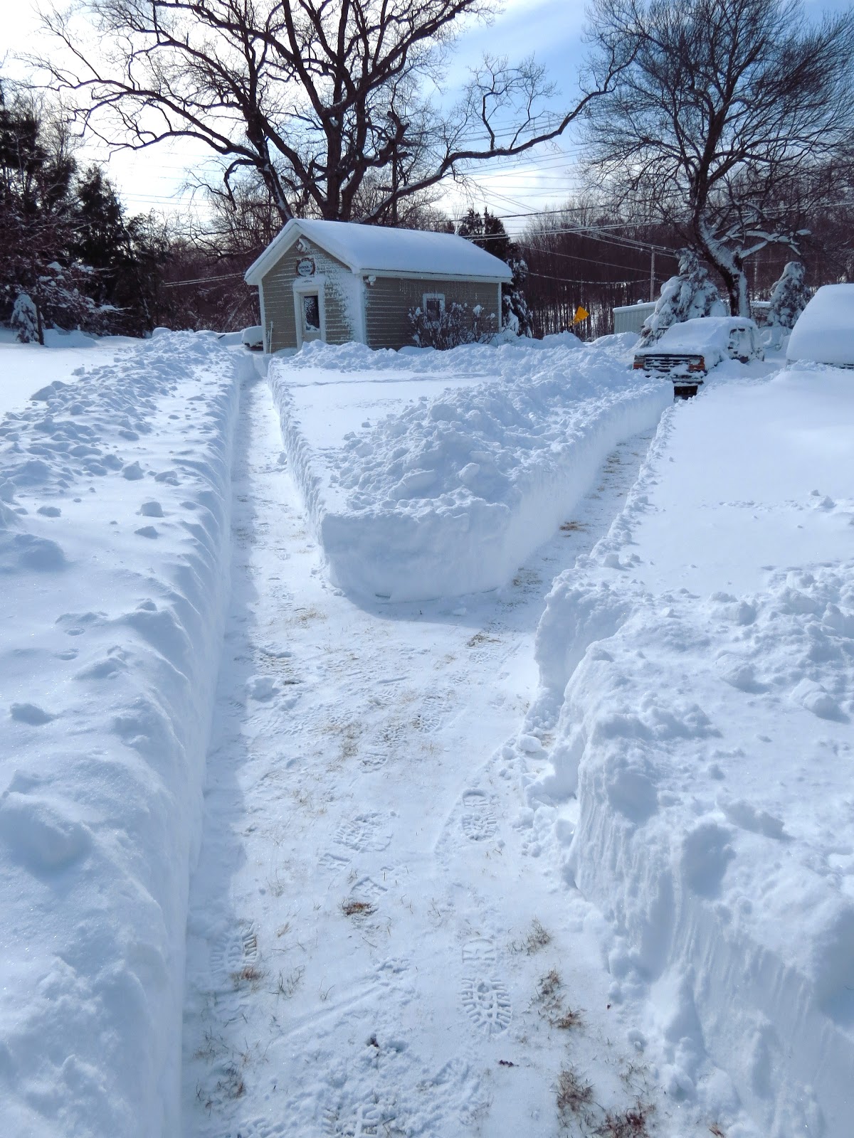 Polly Seip Fine Art Blizzard 2013!