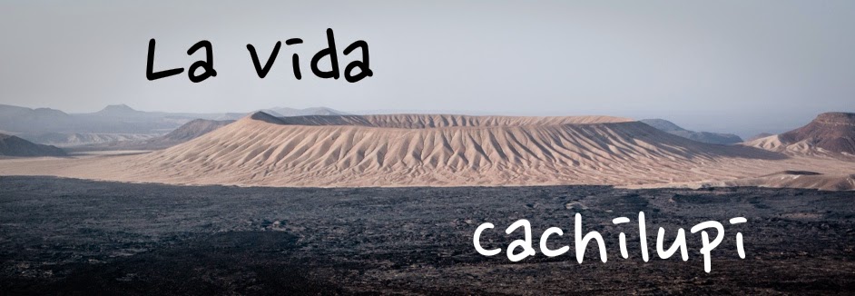 La Vida Cachilupi