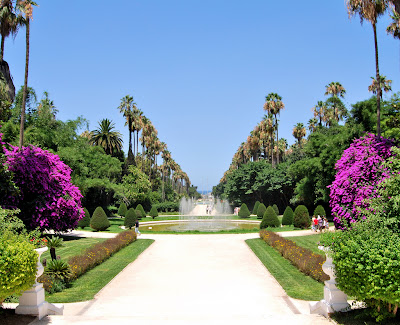 حديقة التجارب بالحامة الجزائر العاصمة jardin d'essai +(27)