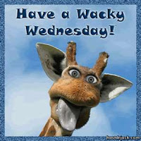 While I was surfing looking for interesting Wacky Wednesday ideas I ... While I was surfing looking for interesting Wacky Wednesday ideas I ...