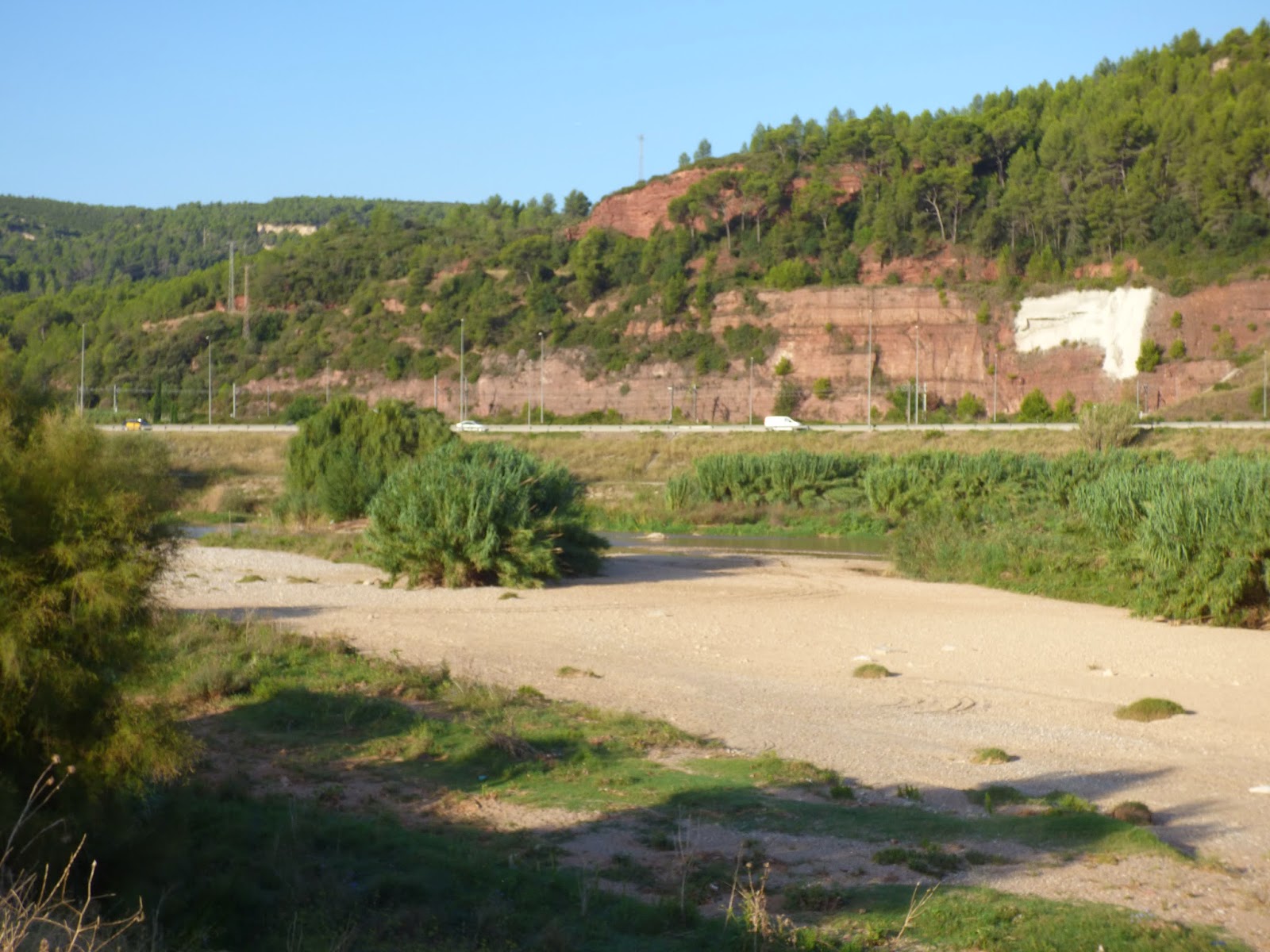 La Natura a Sant Andreu de la Barca Desembocadura de la riera de Rubí