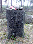 Vargastenen Kopparhult