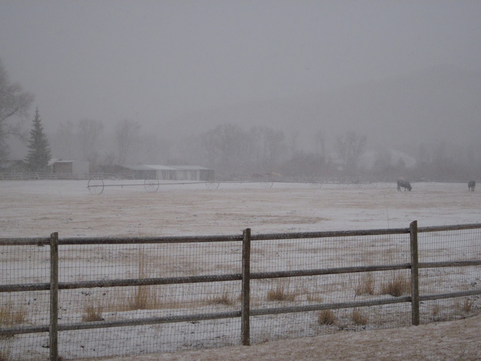 Mackay, Idaho 83251 Snowing This Morning in Mackay, Idaho March 6 2012
