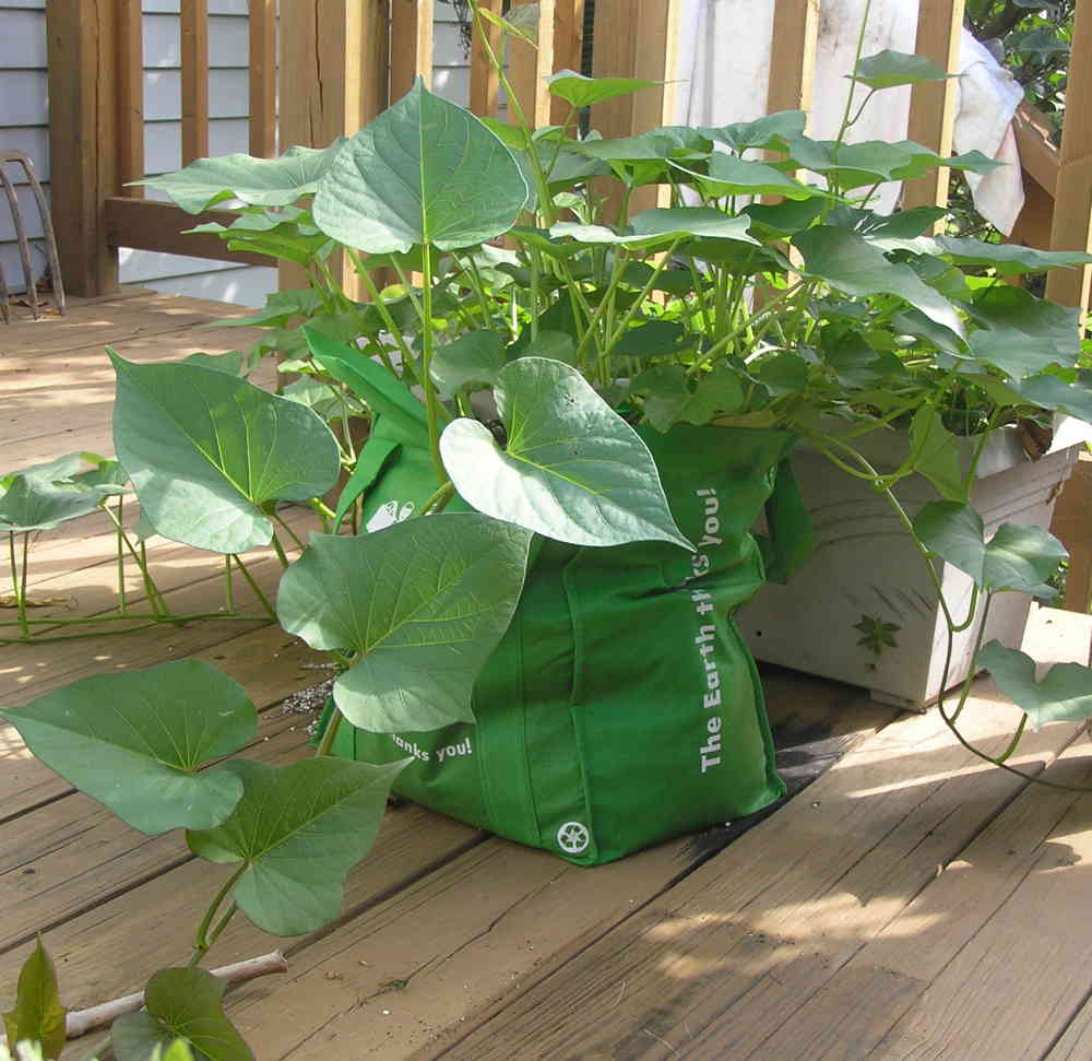 Bag Gardening Bag Jeans Images