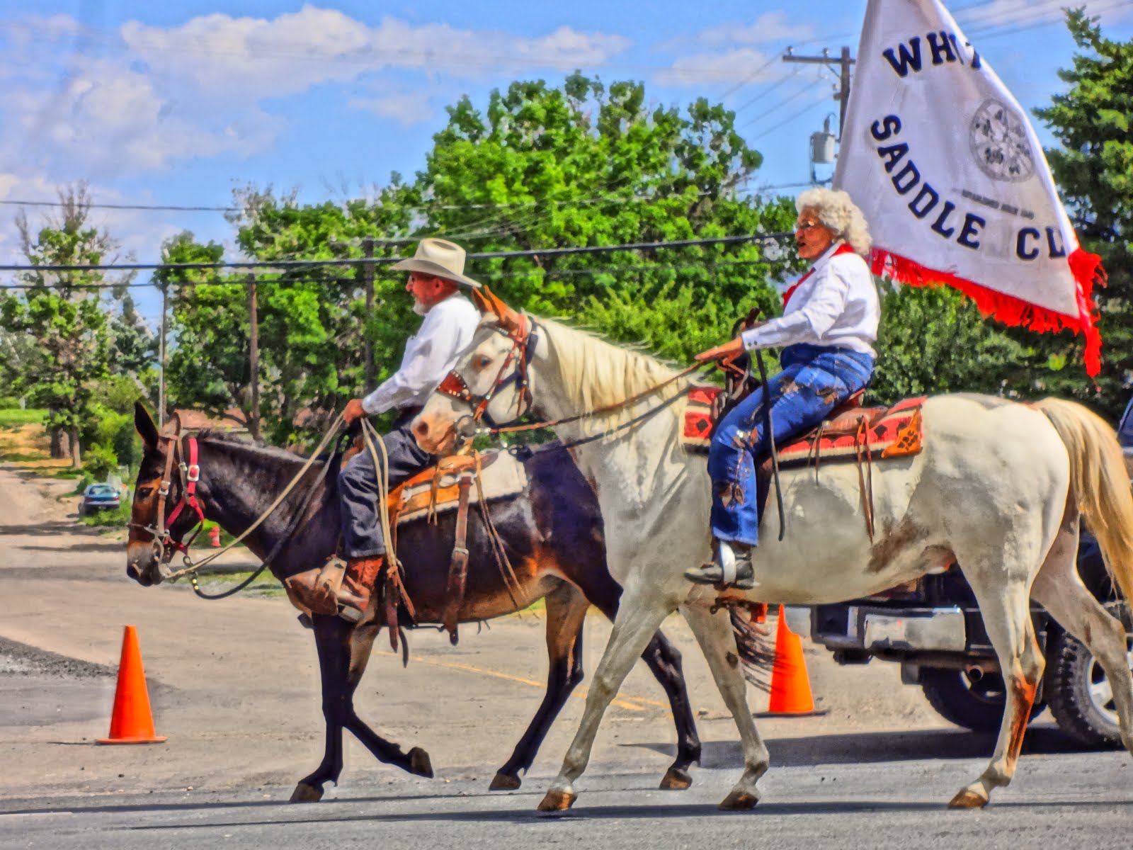 Mule and Medicine Hat in Parade