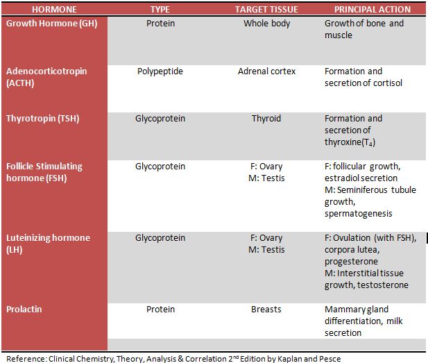 General Concepts of Endocrinology | Clinical Chemistry Blog Notes 27E