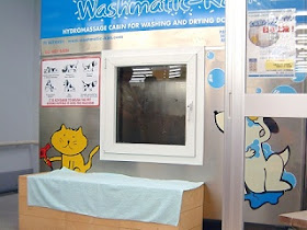 mandikan haiwan peliharaan