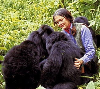 Biografi Dian Fossey Dian Fossey bersama gorila