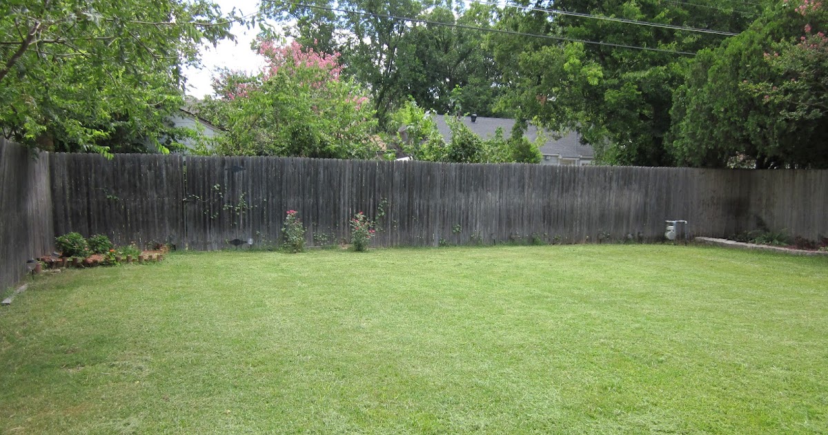 My House Becomes a Home: More Backyard Landscaping