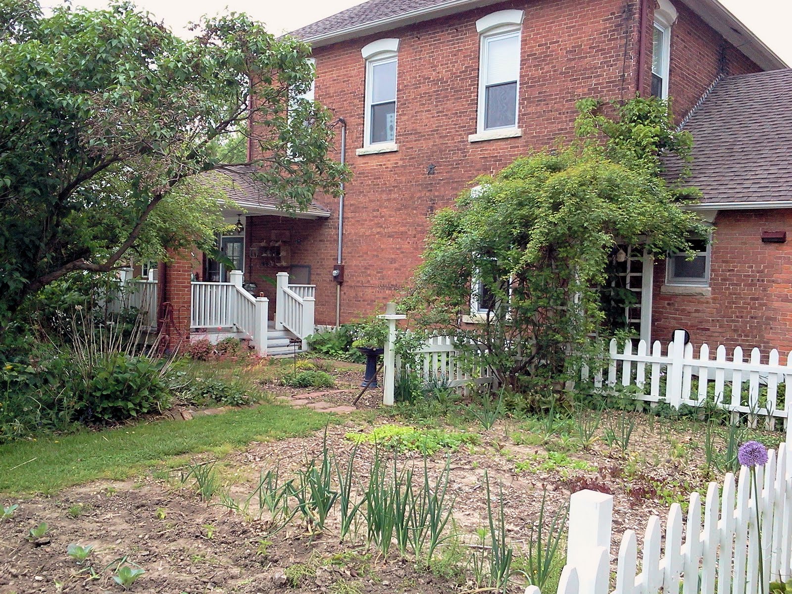 Greg's trip to Strasburg and Stewardson, IL