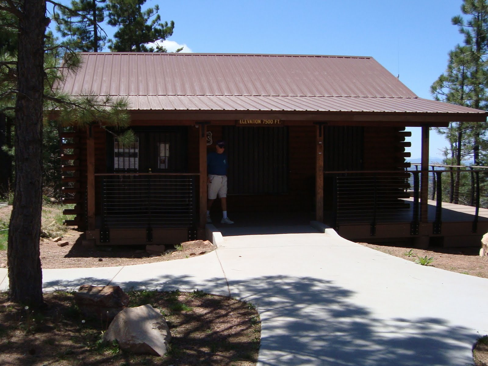 Highway Runner A DRIVE ON THE MOGOLLON RIM, FOREST ROAD 300