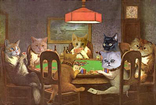 Cats playing poker
