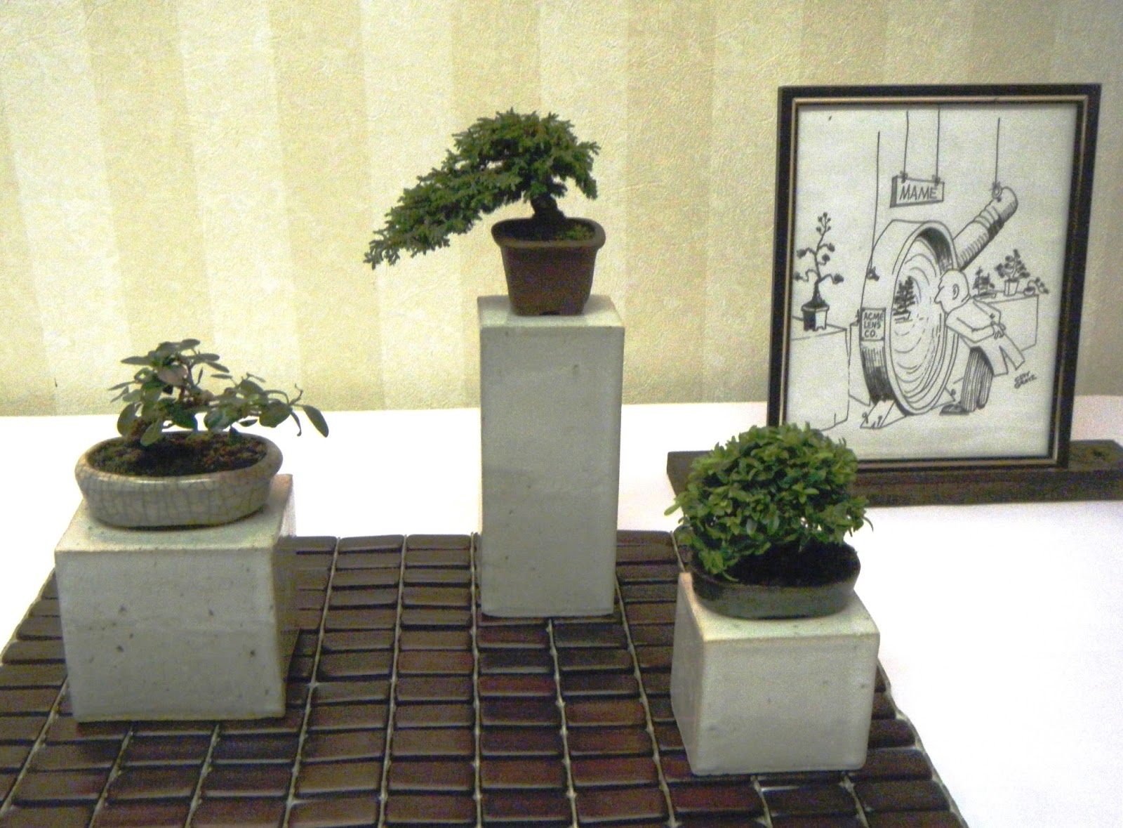 Bonsai in Hoosierland October 2015