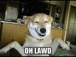 Funny Dog Pictures