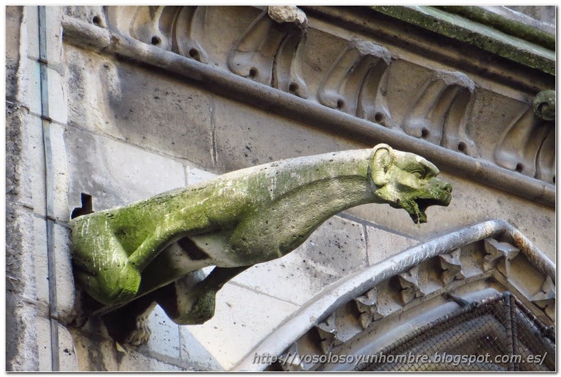 Una de las gorgolas de Notre Dame Una de las gorgolas de Notre Dame